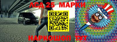 герыч Кингисепп
