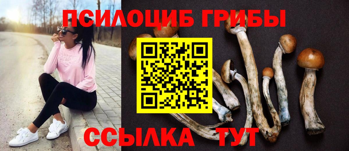Псилоцибиновые грибы Cubensis  Вход с VPN  Галлюциногенные грибы MAGIC MUSHROOMS  Кинель 