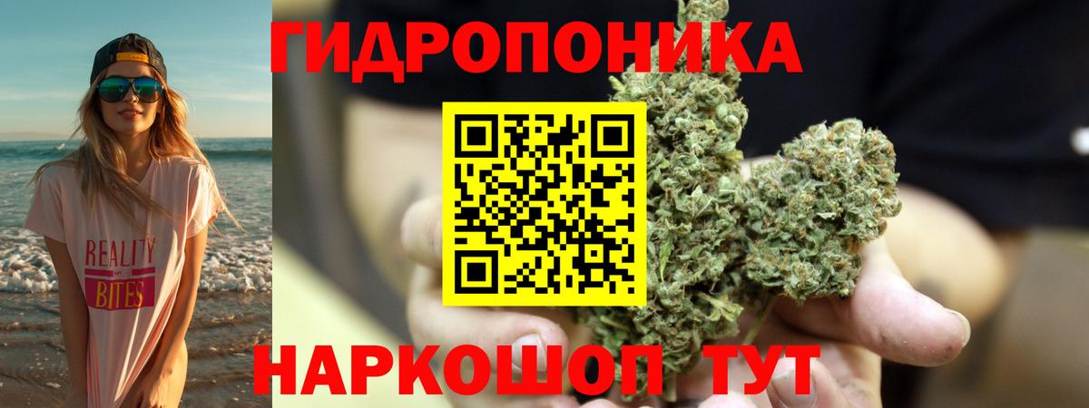 МАРИХУАНА гибрид Кинель